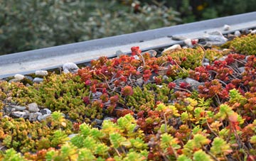 the cost of Coln Rogers green roof installation