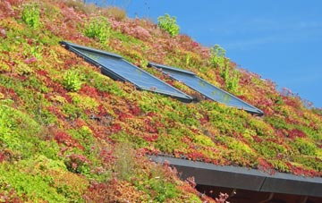 Coln Rogers living roof systems